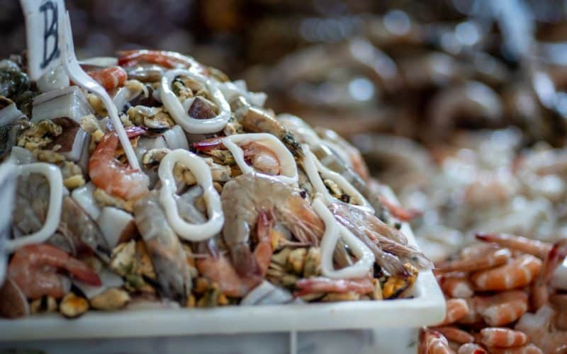 The fraud of the rings: how illegally fished squid ends up on Europe’s dinner plates